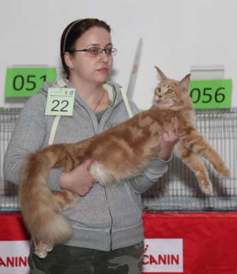 �������� ����� '������� ���-�����' 30 ������-1 ������� 2013., ������������ ��� 2471